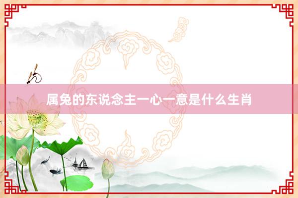 属兔的东说念主一心一意是什么生肖