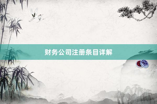 财务公司注册条目详解