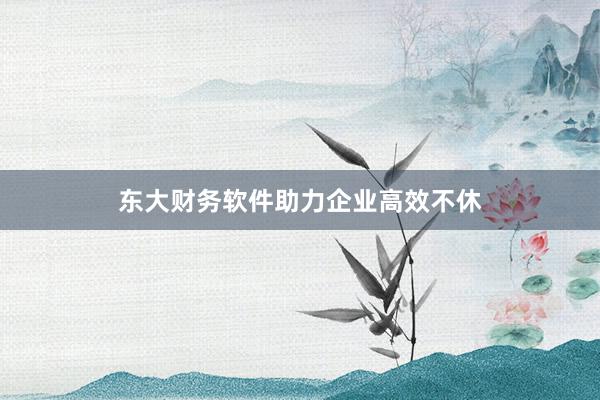 东大财务软件助力企业高效不休