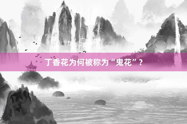 丁香花为何被称为“鬼花”？
