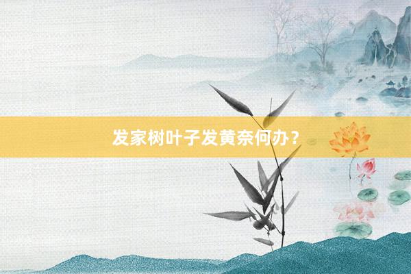 发家树叶子发黄奈何办？