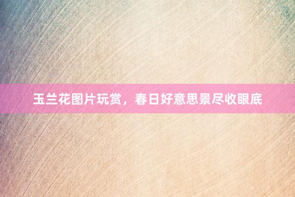 玉兰花图片玩赏，春日好意思景尽收眼底